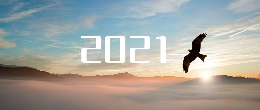 乘“峰”而上，智“盈”未來 ——2021年米蘭·(milan)中國官方網站環境高級資深副總裁新年開工動員